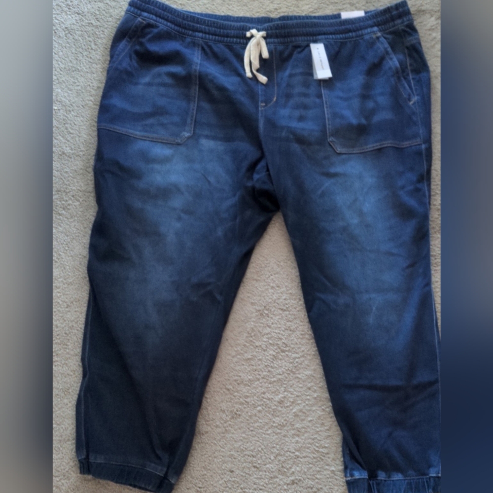 Lane Bryant Soft Denim Boyfriend Joggers NWT
